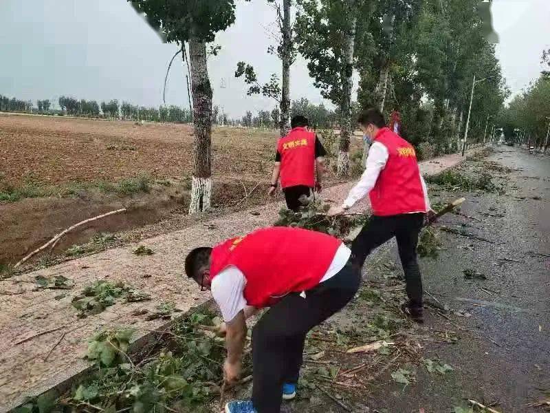黄大仙高手论坛，正版释义与落实行动的重要性