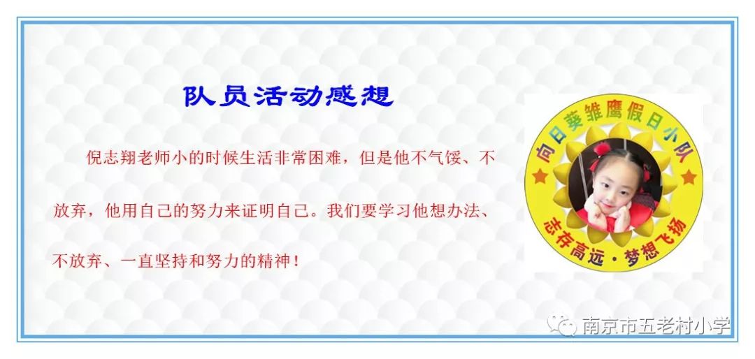 管家婆一肖一马一中一特，深度解析与精选解析的落实之道