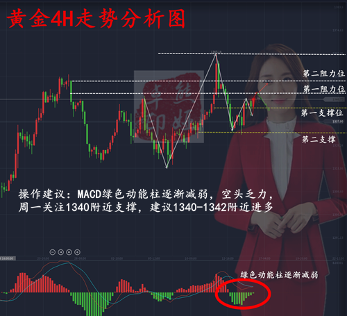 澳门今晚特马开什么，全面贯彻解释落实的重要性与策略