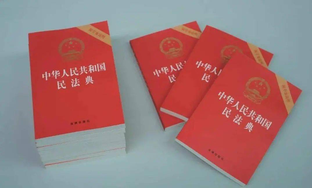 全面解读与释义，新澳门天天开好彩大全一（2004版）