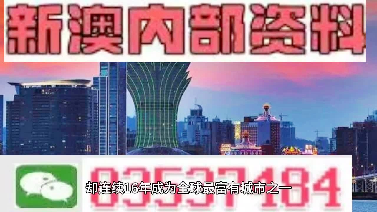 澳门9点内部码群与词语释义解释落实的重要性