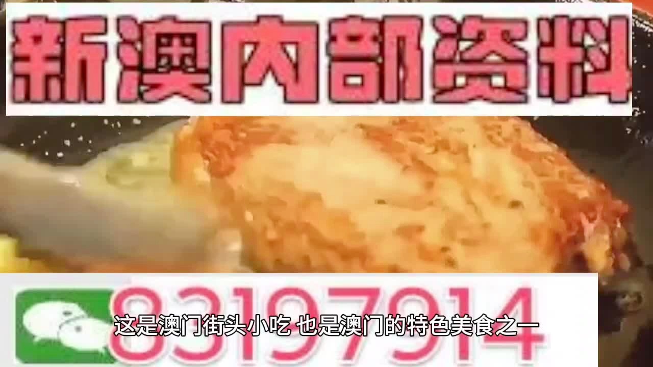 新澳门精准资料大全管家，精选解析、解释与落实