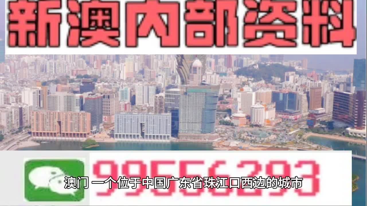 三肖必中期期准中特精选资料与词语释义解释落实详解