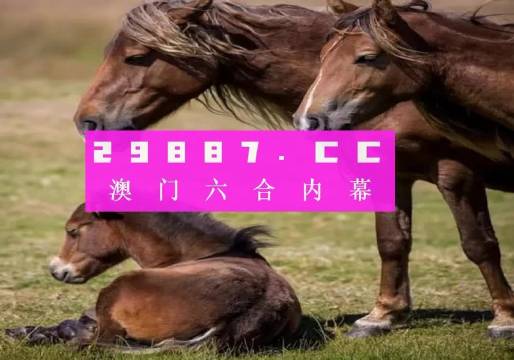 澳门今晚开码料——词语释义解释落实与未来展望