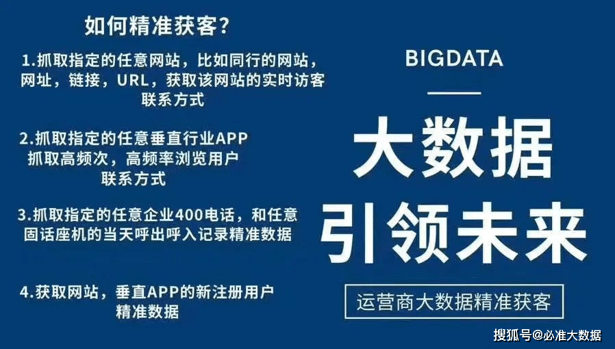 新澳门资料精准网站，词语释义与落实的深度解析
