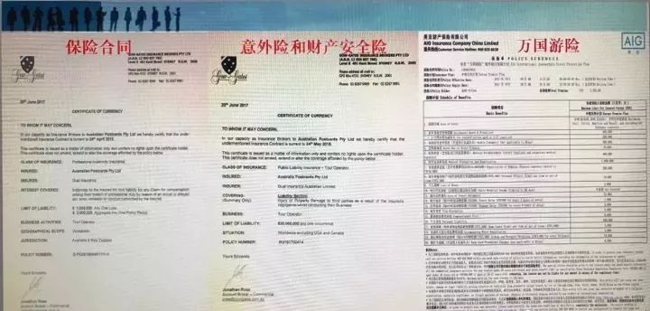 新澳精准资料免费提供，第219期的深度解读与词语释义的落实